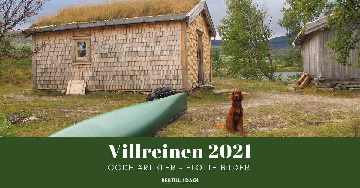 Villreinjakt i Sølnkletten Villreinjakt i Sølnkletten