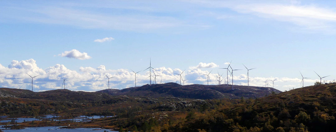 Vindkraft og reinsdyr er en dårlig miks!