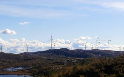 Vindkraft og reinsdyr er en dårlig miks!